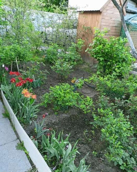 Дача, 4 улица, 